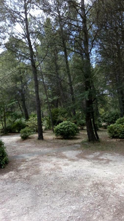 Le Clos Zinou Lambesc Εξωτερικό φωτογραφία
