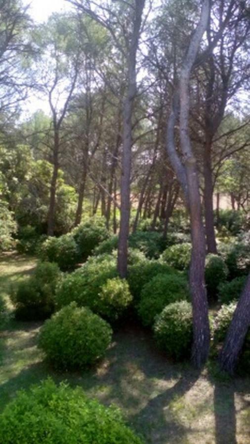 Le Clos Zinou Lambesc Εξωτερικό φωτογραφία